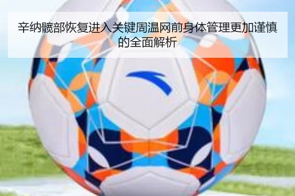 辛纳髋部恢复进入关键周温网前身体管理更加谨慎的全面解析